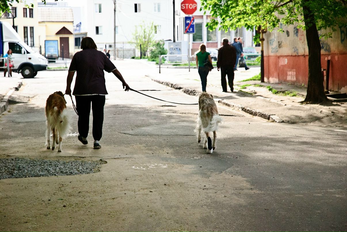 Max Bess фотография #30