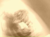 Фотография Jee Boo