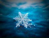 Фотография Тарунтаевой Евгении