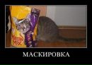 Андрій Мельник фотография #38 (источник - https://vk.com/id134496924)