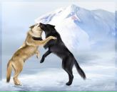 Віталій Сокул фотография #48 (источник - https://vk.com/id154698175)