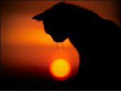 Наталія Руда фотография #14 (источник - https://vk.com/id5979537)