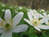 Юлія Сусорова фотография #12 (источник - https://vk.com/id58441613)