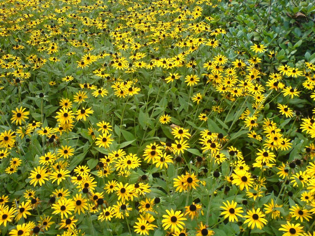 Иван Кузнецов фотография #25