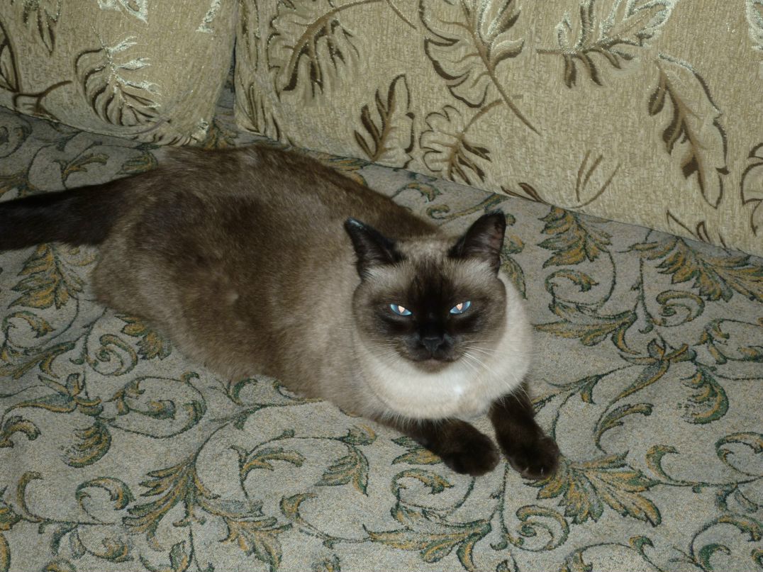 Денис Хамитов фотография #17