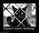 Дмитрий Васильев фотография #34 (источник - https://vk.com/id270313)