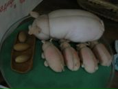 Фотография Никольской Татьяны