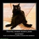 Фотография Трутневой Светланы