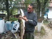 Сергій Жуковський фотография #1