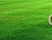 Діма Когут фотография #29 (источник - https://vk.com/id97840862)