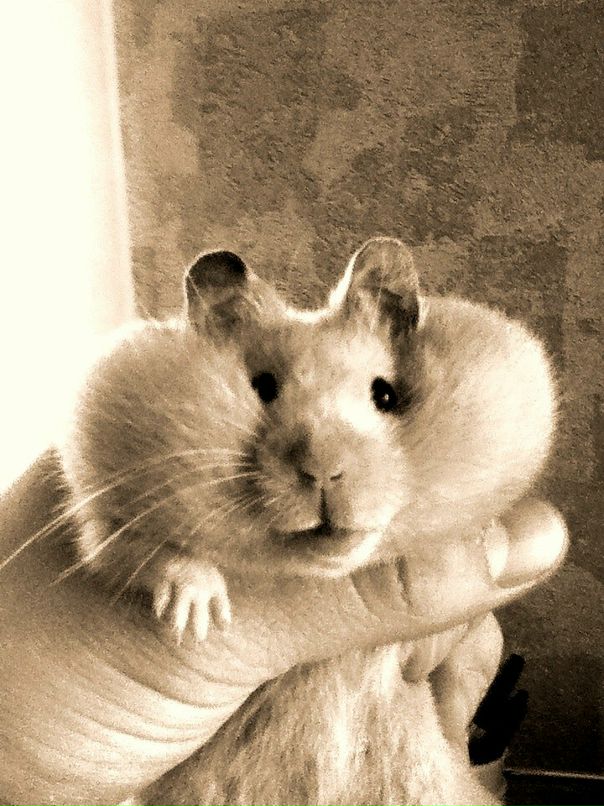 Илья Гнатенко фотография #12