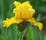 Даша Κондратьева фотография #23 (источник - https://vk.com/id81376002)