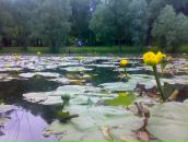 Фотография Панкратова Ксения