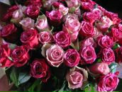 Фотография Хабаровой Галины