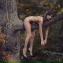 Сергій Тарасов фотография #8 (источник - https://vk.com/id44917620)