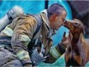 Bayram Zengin фотография #3 (источник - https://vk.com/id160323293)