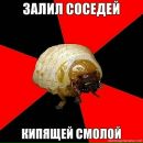 Фотография Немцева Фёдора