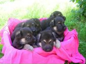 Фотография Немтиной Натальи