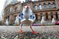 Фотография Гатина (Газиева) Гульнары