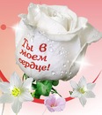 Аліна Степаненко фотография #9 (источник - https://vk.com/id127810905)