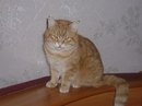 Фотография Ивановой Анны