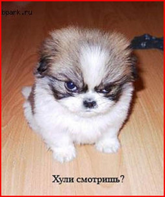 Сашка Пасынков фотография #50