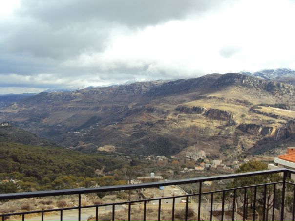 Yousef Dib фото №32