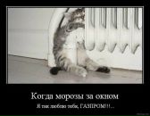 Антон Матійко фотография #36 (источник - https://vk.com/id31452730)