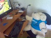 Фотография Бибика Анатолия