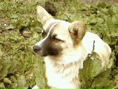 Андрій Торба фотография #5 (источник - https://vk.com/id165770027)