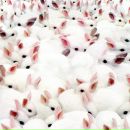 Фотография Платоновой Елены