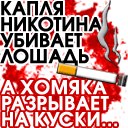 Вадім Чижик фотография #12 (источник - https://vk.com/id160250627)