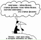 Фотография Хоревой Екатерины