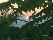 Фотография Игнатьевой Елены