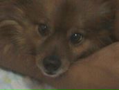 Сергій Петров фотография #31 (источник - https://vk.com/id92831660)