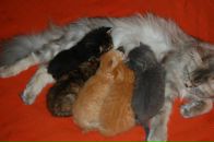 Кіріл Петрук фотография #38 (источник - https://vk.com/id2620559)