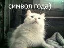 Фотография Анисимовой Анны