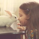 Таня Трубіна фотография #36 (источник - https://vk.com/id152375131)