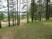 Нина Денисова фотография #4 (источник - https://vk.com/id4351324)