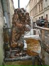 Міша Данилишин фотография #45 (источник - https://vk.com/id25080720)