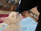 Руслан Смілик фотография #4 (источник - https://vk.com/id8818182)