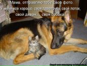 Дмитрий Недбайло фотография #17 (источник - https://vk.com/id1300758)