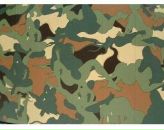 Фотография Перьковой Татьяны