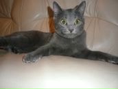 Фотография Дедовой Светланы