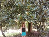 Николай Лещенко фотография #27 (источник - https://vk.com/id248869)