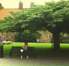 Фотография Гагкаевой Вероники