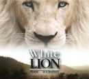Фотография Кошелева Сергея