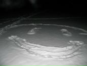 Фотография Сипих-Адамовой Алисы