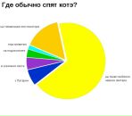 Фотография Alekseeva Vera