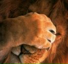 Фотография Якушевой Татьяны